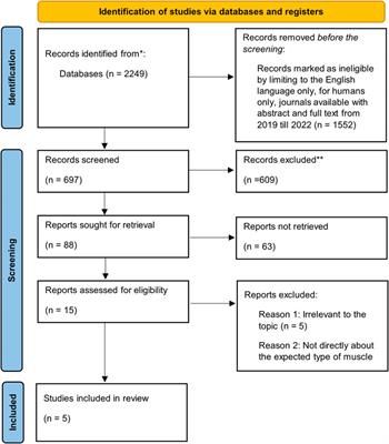 Physiological factors affecting the mechanical performance of peripheral muscles: A perspective for long COVID patients through a systematic literature review